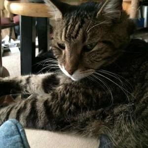 Meet your Posher, Sean